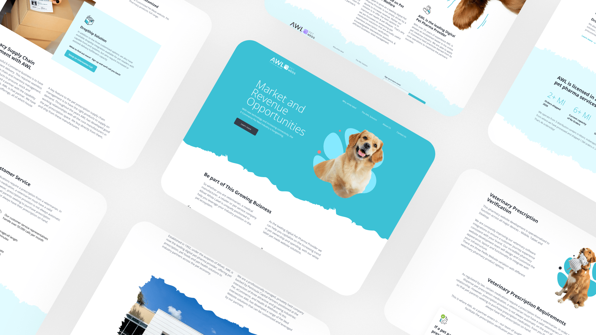 Website, Web app Portfolio